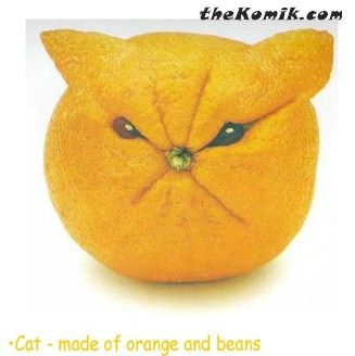 orange.jpg (17013 bytes)